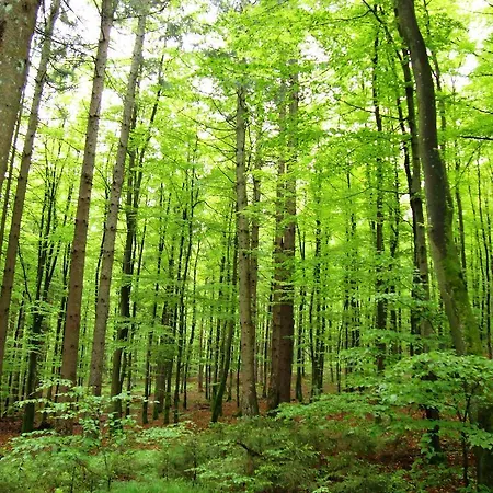 Kraemerwirt Hotel-gasthof 3*