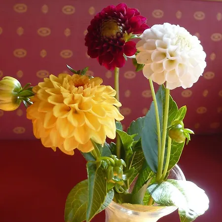 Hotel Kraemerwirt Hotel-gasthof 3*