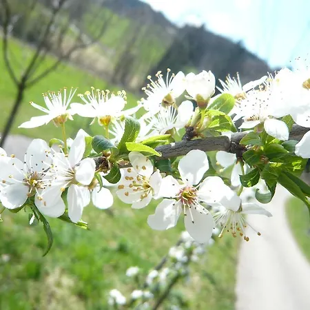 Hotel Kraemerwirt Hotel-gasthof 3*