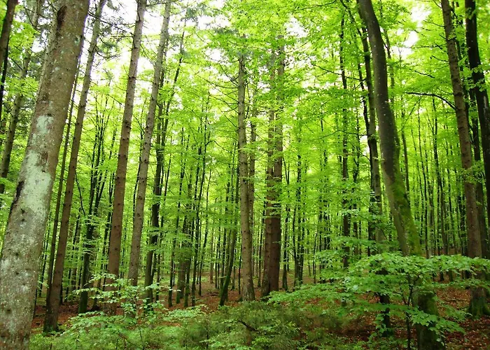 Kraemerwirt Hotel-gasthof 3*